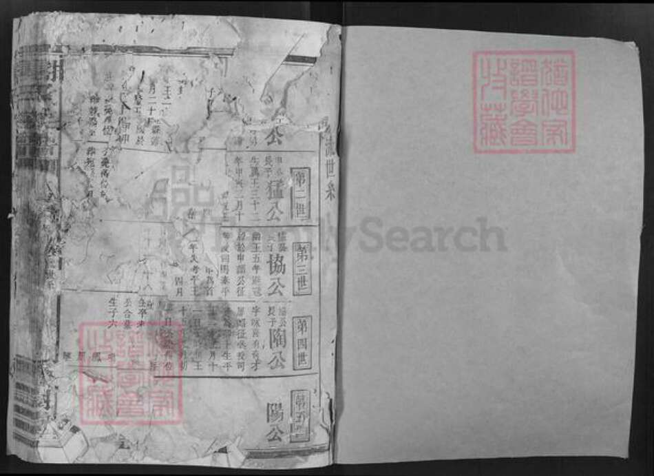 湖南省谢氏宝树堂族谱-谢氏宗谱.pdf电子版预览图1