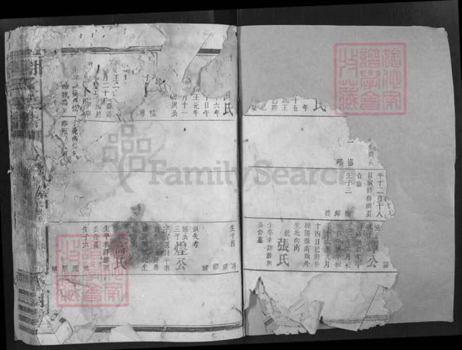 湖南省谢氏宝树堂族谱-谢氏宗谱.pdf电子版预览图2