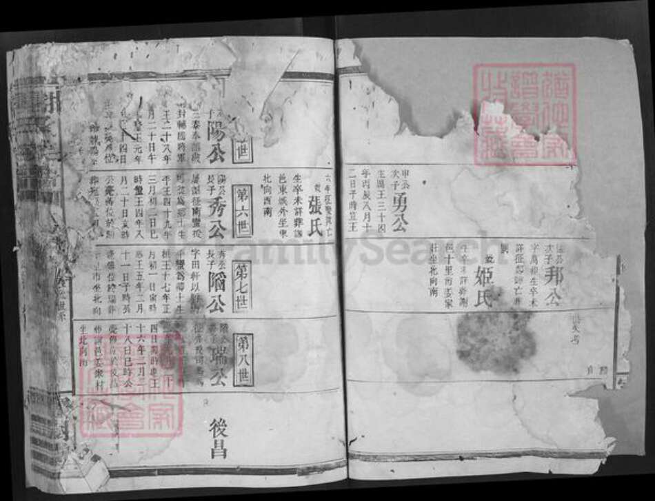 湖南省谢氏宝树堂族谱-谢氏宗谱.pdf电子版预览图3