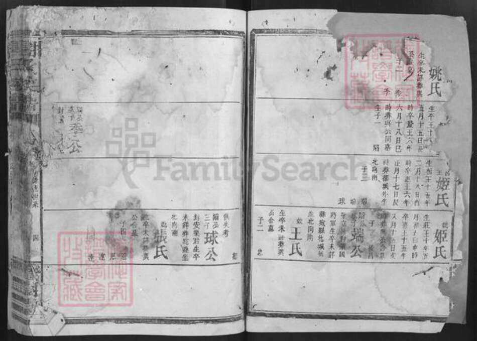 湖南省谢氏宝树堂族谱-谢氏宗谱.pdf电子版预览图4