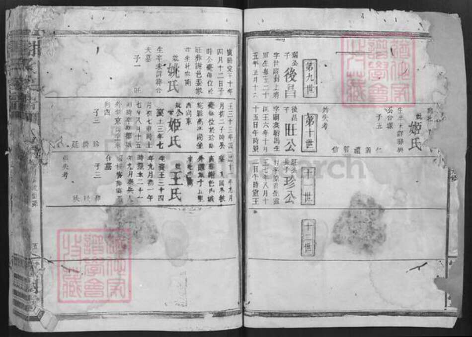 湖南省谢氏宝树堂族谱-谢氏宗谱.pdf电子版预览图5