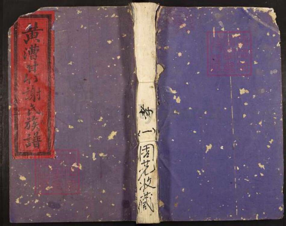 江西省吉安市泰和市禾市镇谢氏族谱-黄漕甘竹谢氏七修族谱.pdf电子版缩略图