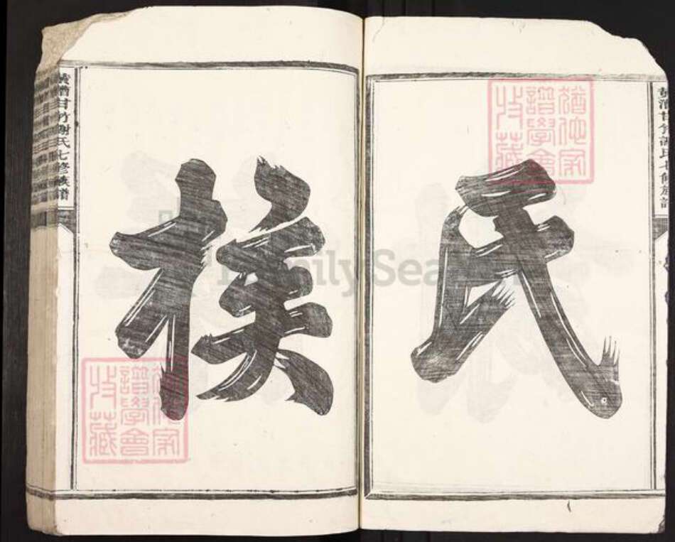 江西省吉安市泰和市禾市镇谢氏族谱-黄漕甘竹谢氏七修族谱.pdf电子版预览图2