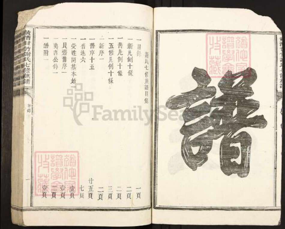 江西省吉安市泰和市禾市镇谢氏族谱-黄漕甘竹谢氏七修族谱.pdf电子版预览图3