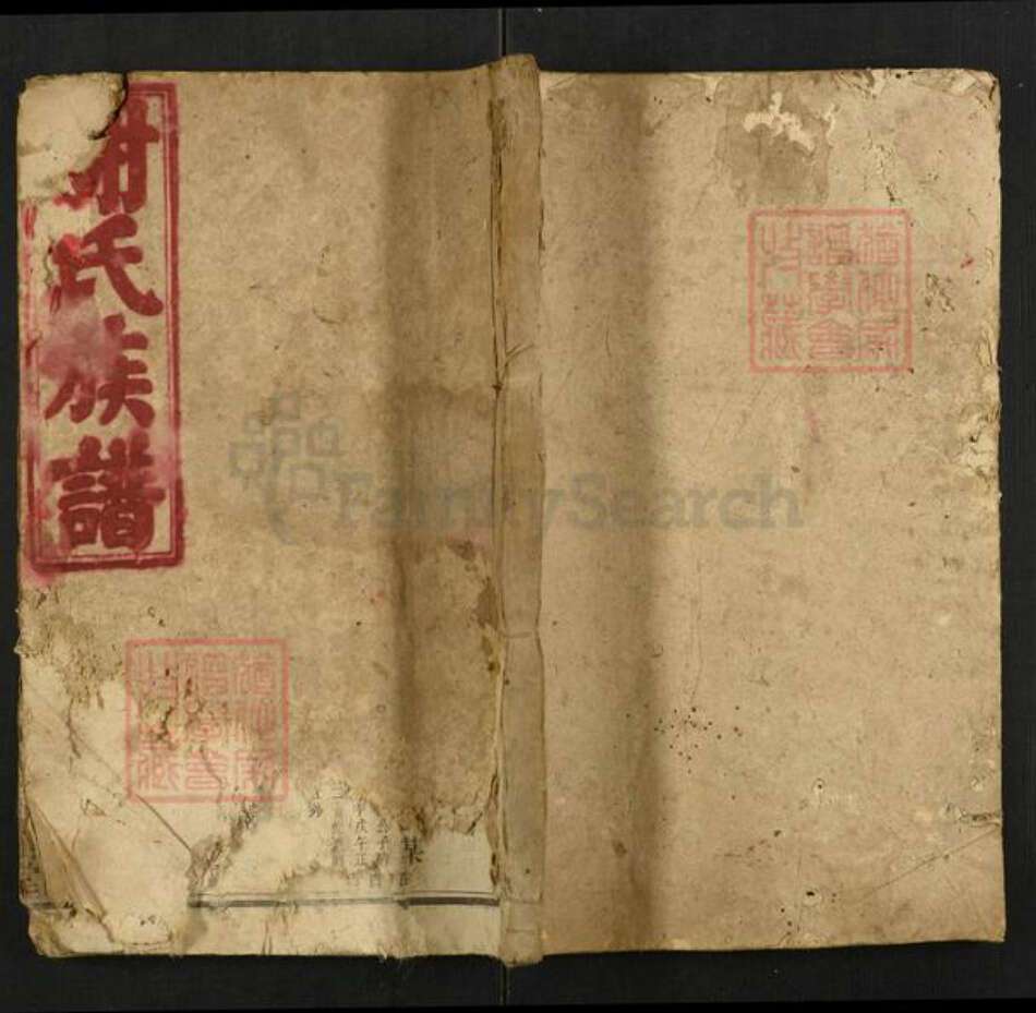 湖南省邵阳市谢氏宝树堂族谱-邵陵谢氏三修族谱.pdf电子版缩略图