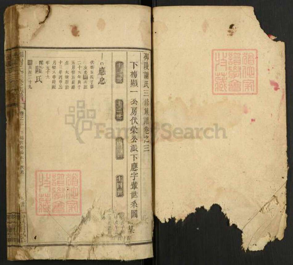 湖南省邵阳市谢氏宝树堂族谱-邵陵谢氏三修族谱.pdf电子版预览图1