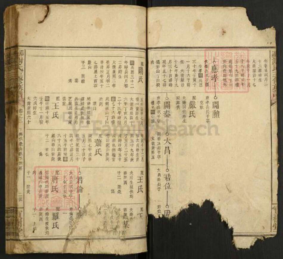 湖南省邵阳市谢氏宝树堂族谱-邵陵谢氏三修族谱.pdf电子版预览图2