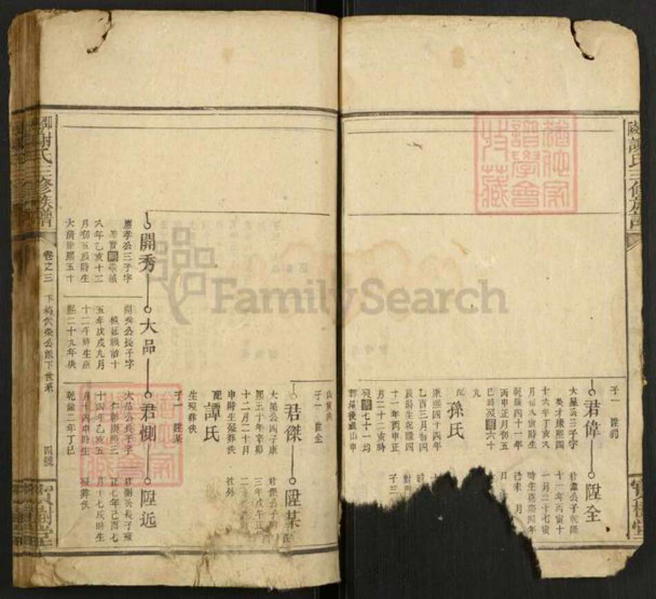 湖南省邵阳市谢氏宝树堂族谱-邵陵谢氏三修族谱.pdf电子版预览图4