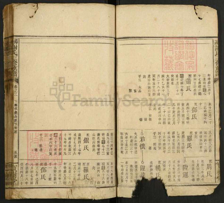 湖南省邵阳市谢氏宝树堂族谱-邵陵谢氏三修族谱.pdf电子版预览图5