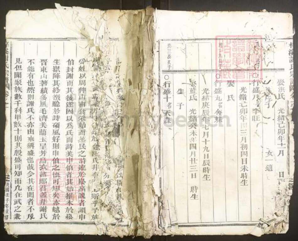 浙江省金华市武义县谢氏族谱-梓溪谢氏宗谱.pdf电子版缩略图