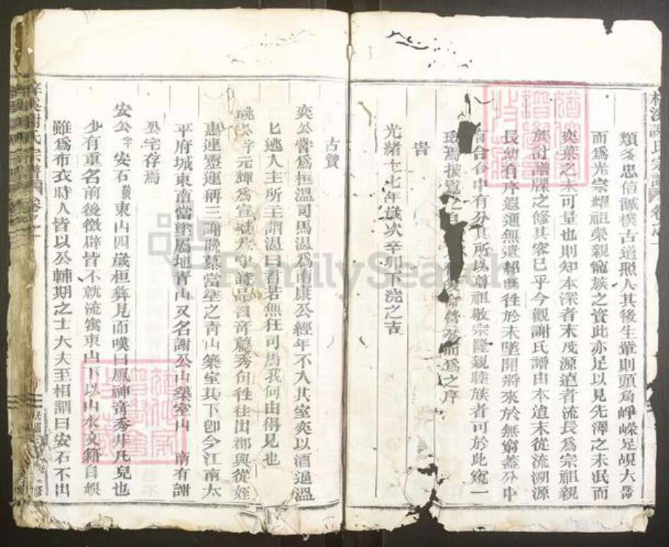 浙江省金华市武义县谢氏族谱-梓溪谢氏宗谱.pdf电子版预览图2