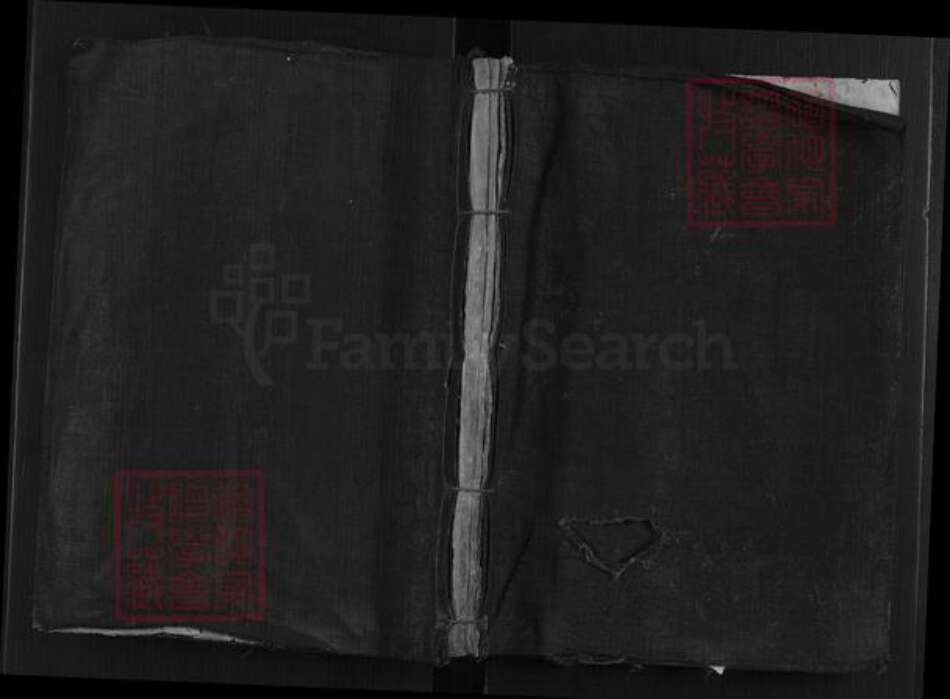 江西省赣州市赣县区谢氏族谱-大由谢氏族谱[不分卷].pdf电子版缩略图