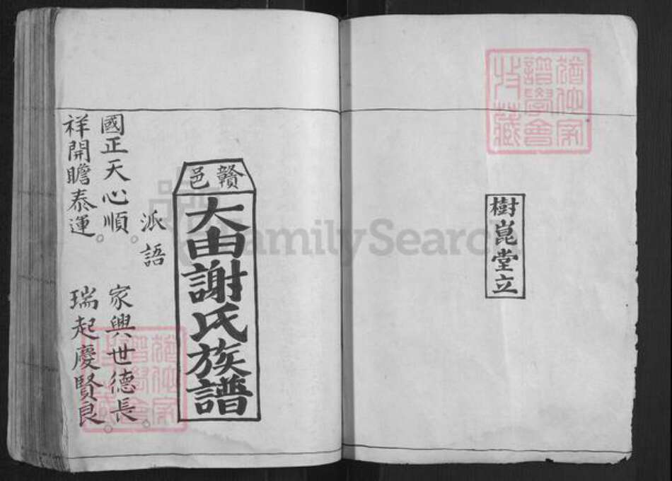 江西省赣州市赣县区谢氏族谱-大由谢氏族谱[不分卷].pdf电子版预览图1