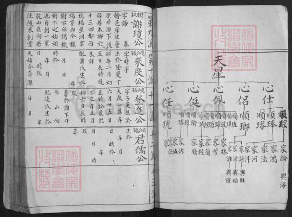 江西省赣州市赣县区谢氏族谱-大由谢氏族谱[不分卷].pdf电子版预览图4