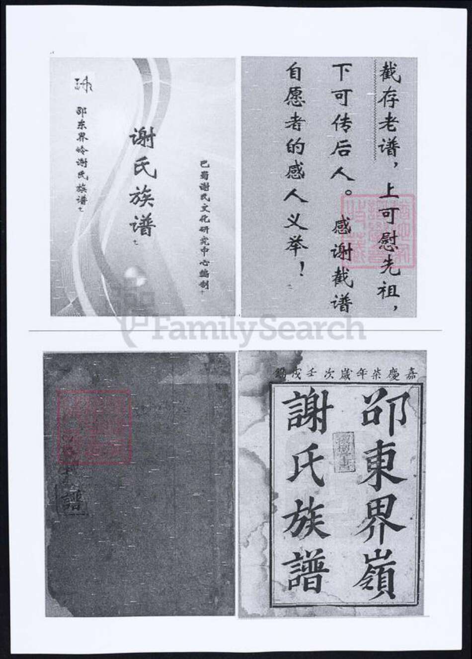 湖南省邵阳市谢氏族谱-谢氏族谱.pdf电子版缩略图