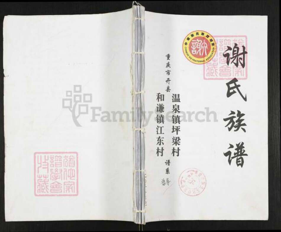 重庆市开州区重庆市万州开县谢；谢氏族谱-谢氏族谱.pdf电子版缩略图