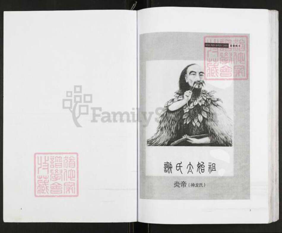 重庆市开州区重庆市万州开县谢；谢氏族谱-谢氏族谱.pdf电子版预览图4