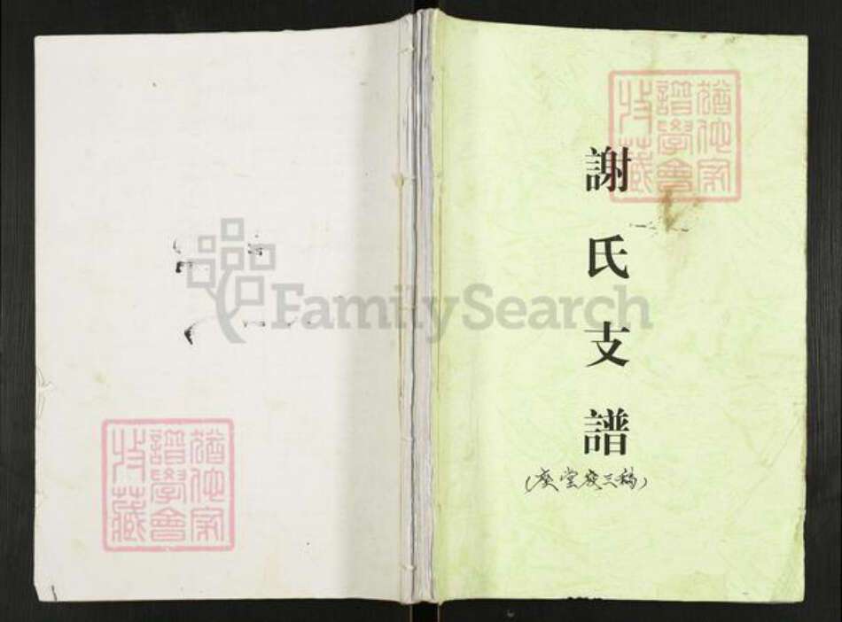 重庆市开州区重庆市万州开县谢；谢氏宝树堂族谱-谢氏支谱.pdf电子版缩略图