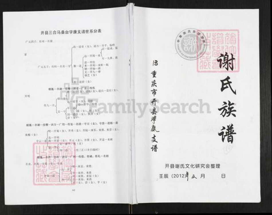 重庆市万州开县谢；谢氏宝树堂族谱-谢氏族谱.重庆市开县学康支谱.pdf电子版缩略图