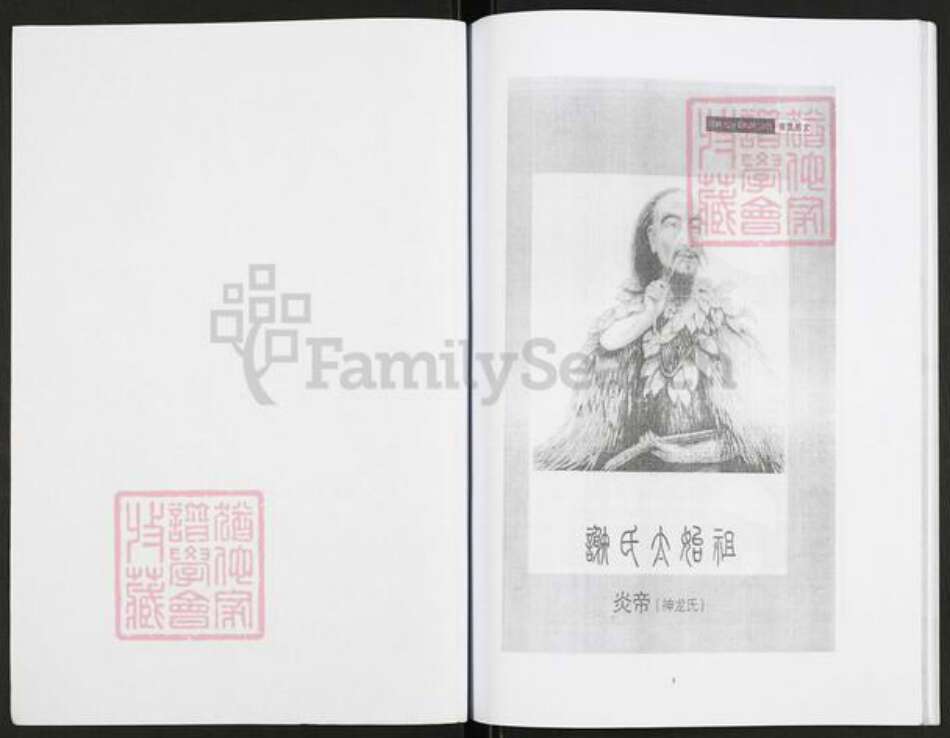 重庆市万州开县谢；谢氏宝树堂族谱-谢氏族谱.重庆市开县学康支谱.pdf电子版预览图1