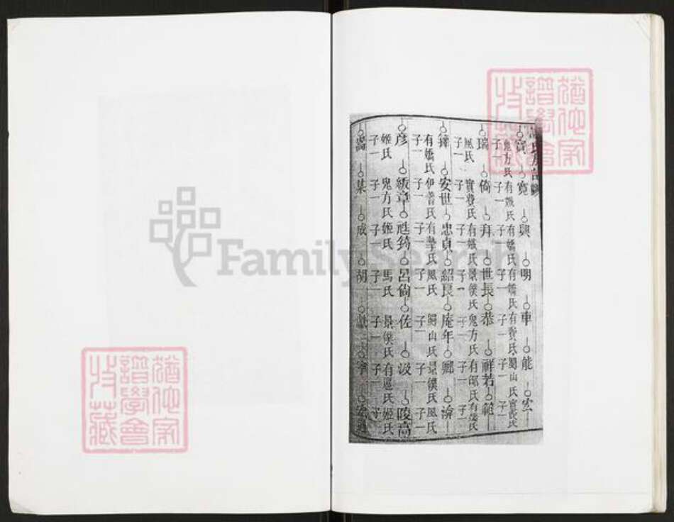 重庆市开州区重庆市万州开县谢；谢氏族谱-谢氏族谱.pdf电子版预览图3