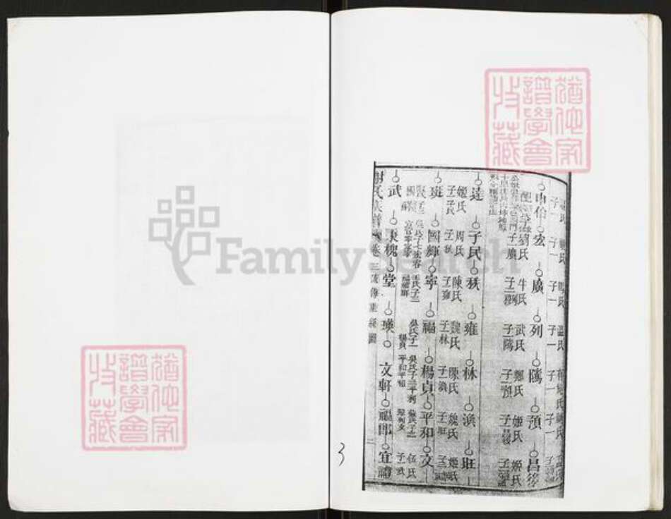 重庆市开州区重庆市万州开县谢；谢氏族谱-谢氏族谱.pdf电子版预览图4