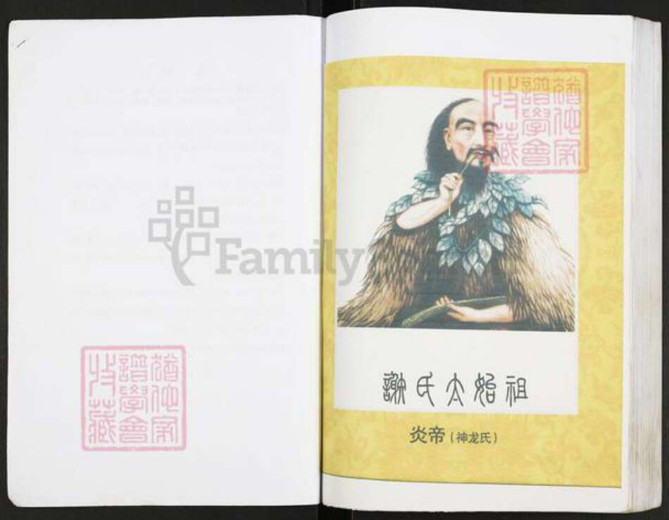 重庆市开州区重庆市万州开县谢；谢氏宝树堂族谱-谢氏族谱.pdf电子版预览图3