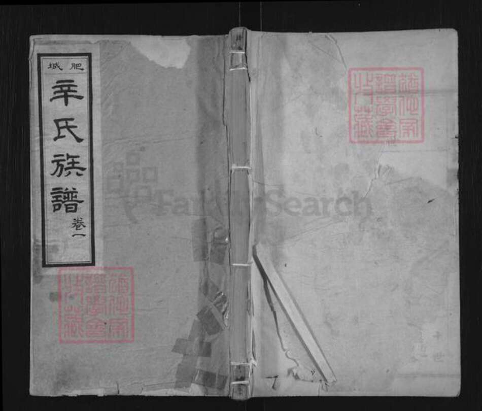 山东省泰安市肥城市辛氏族谱-肥城辛氏族谱.pdf电子版