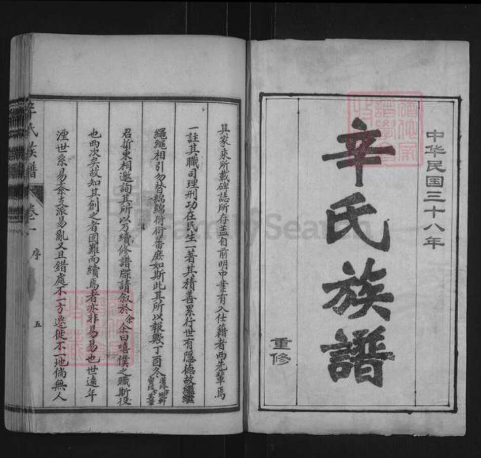 山东省泰安市肥城市辛氏族谱-肥城辛氏族谱.pdf电子版预览图1