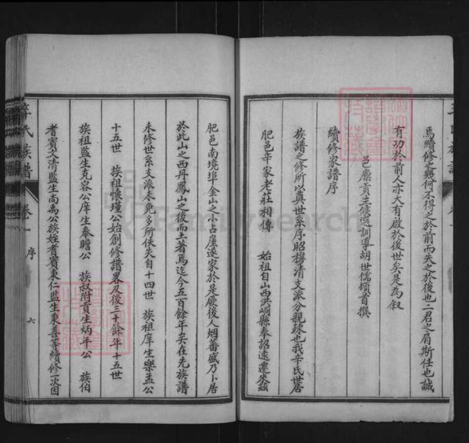 山东省泰安市肥城市辛氏族谱-肥城辛氏族谱.pdf电子版预览图2