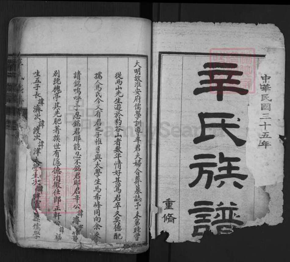 山东省泰安市肥城市辛氏族谱-肥城辛氏族谱.pdf电子版预览图1