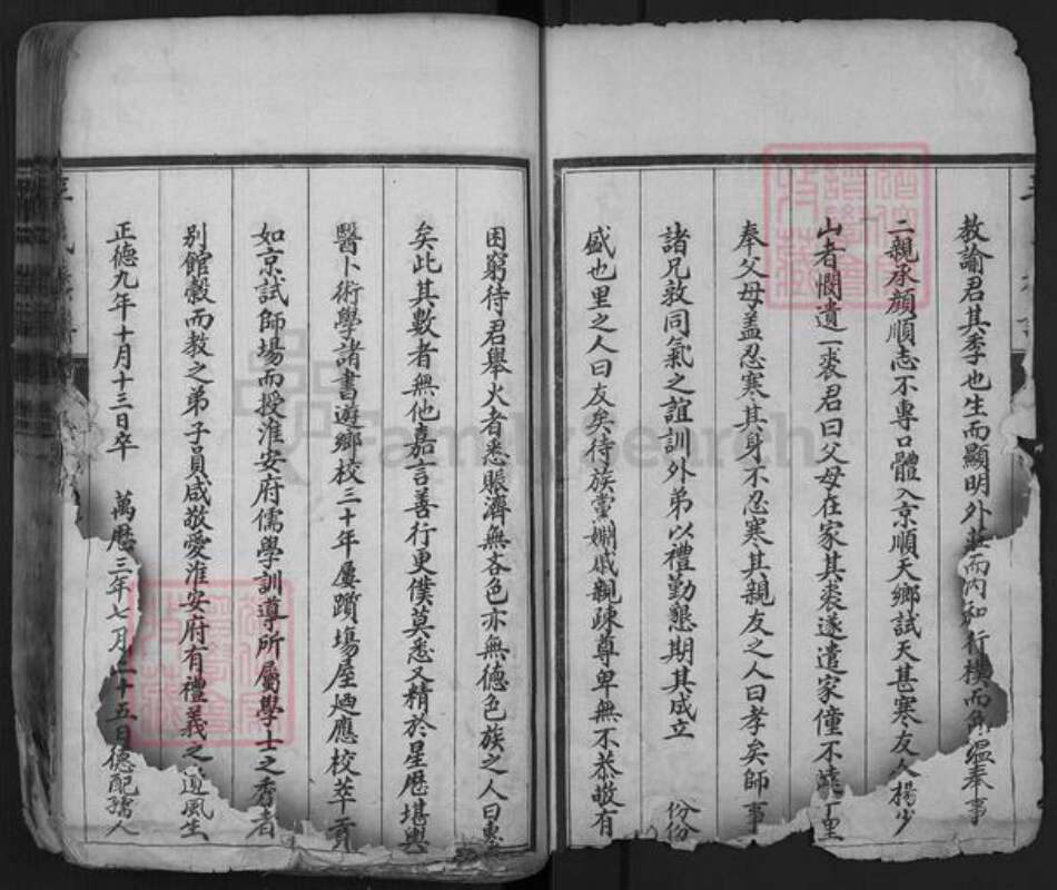 山东省泰安市肥城市辛氏族谱-肥城辛氏族谱.pdf电子版预览图2
