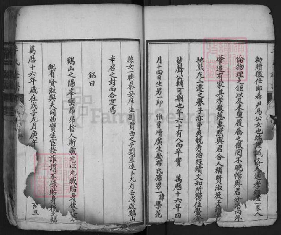 山东省泰安市肥城市辛氏族谱-肥城辛氏族谱.pdf电子版预览图3