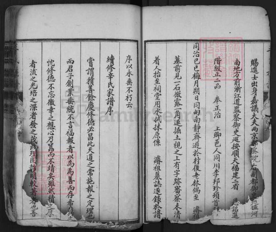 山东省泰安市肥城市辛氏族谱-肥城辛氏族谱.pdf电子版预览图4