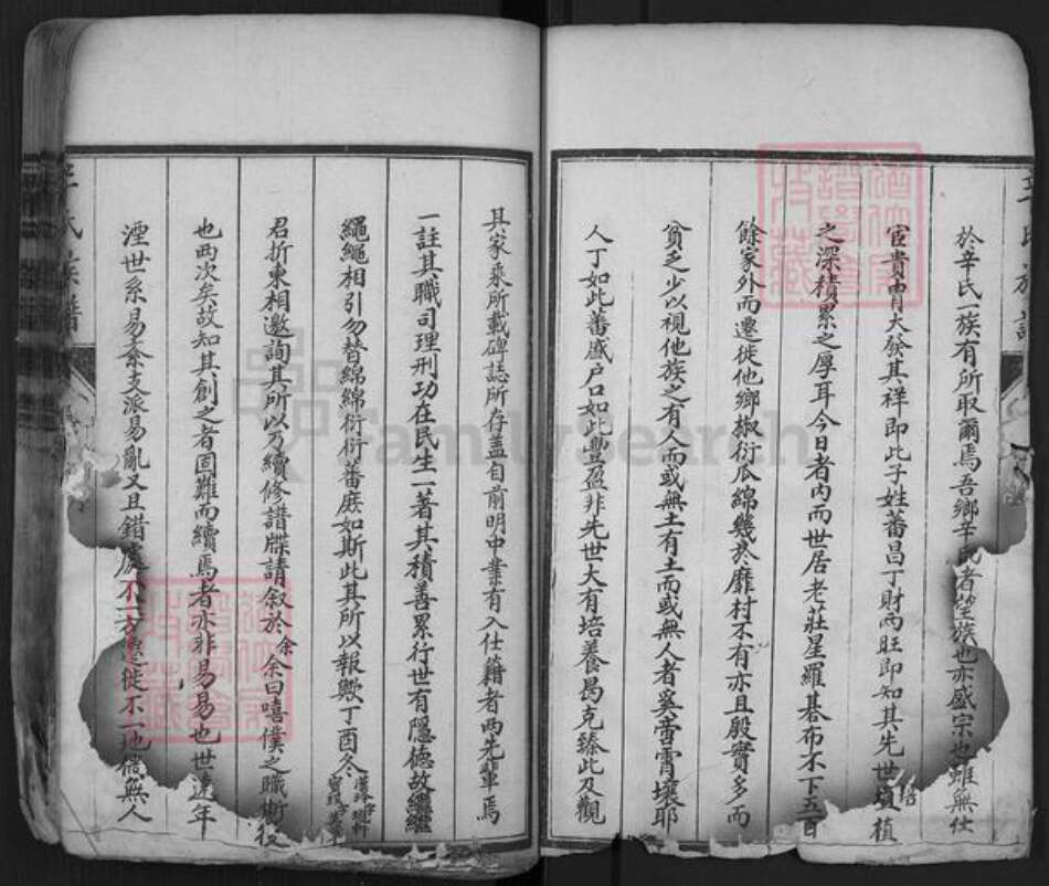山东省泰安市肥城市辛氏族谱-肥城辛氏族谱.pdf电子版预览图5