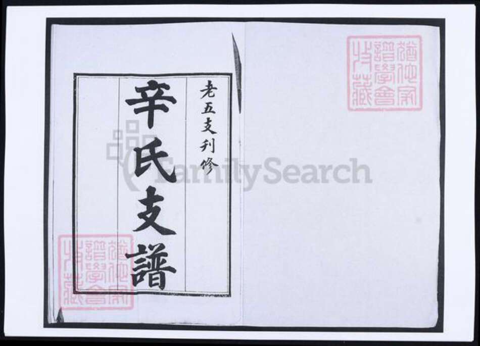 山东省青岛市即墨区辛氏族谱-辛氏支谱.pdf电子版预览图1