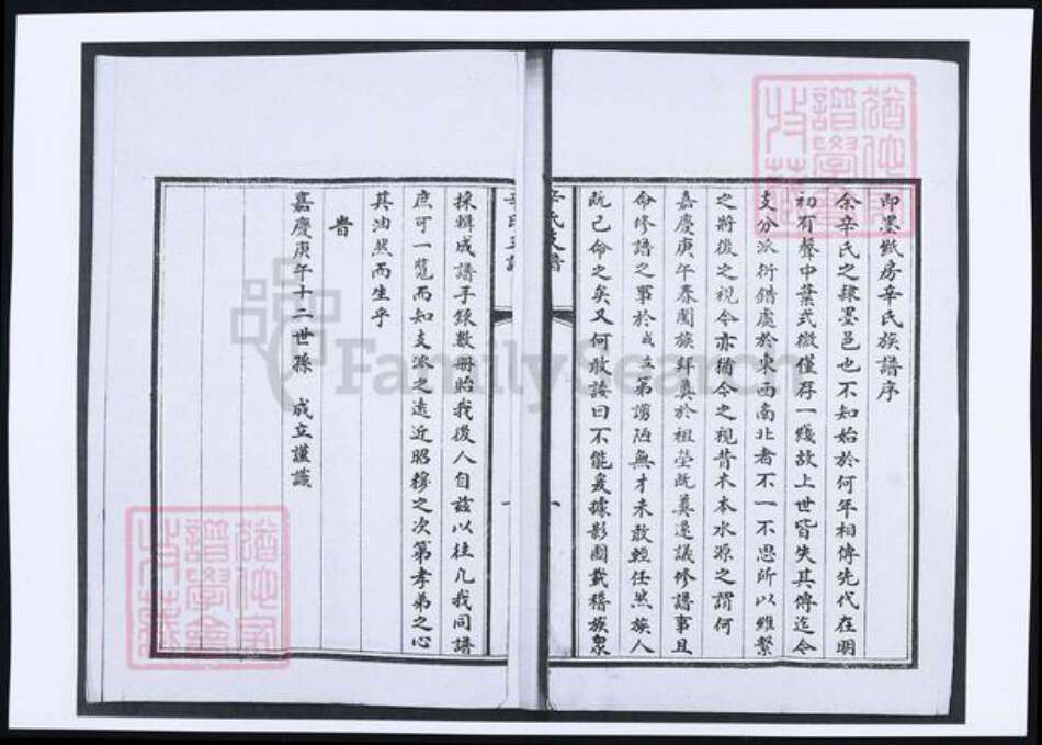 山东省青岛市即墨区辛氏族谱-辛氏支谱.pdf电子版预览图2