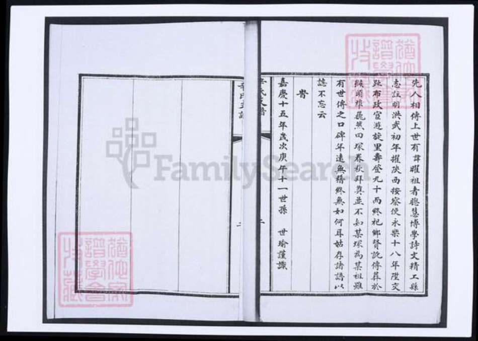 山东省青岛市即墨区辛氏族谱-辛氏支谱.pdf电子版预览图3