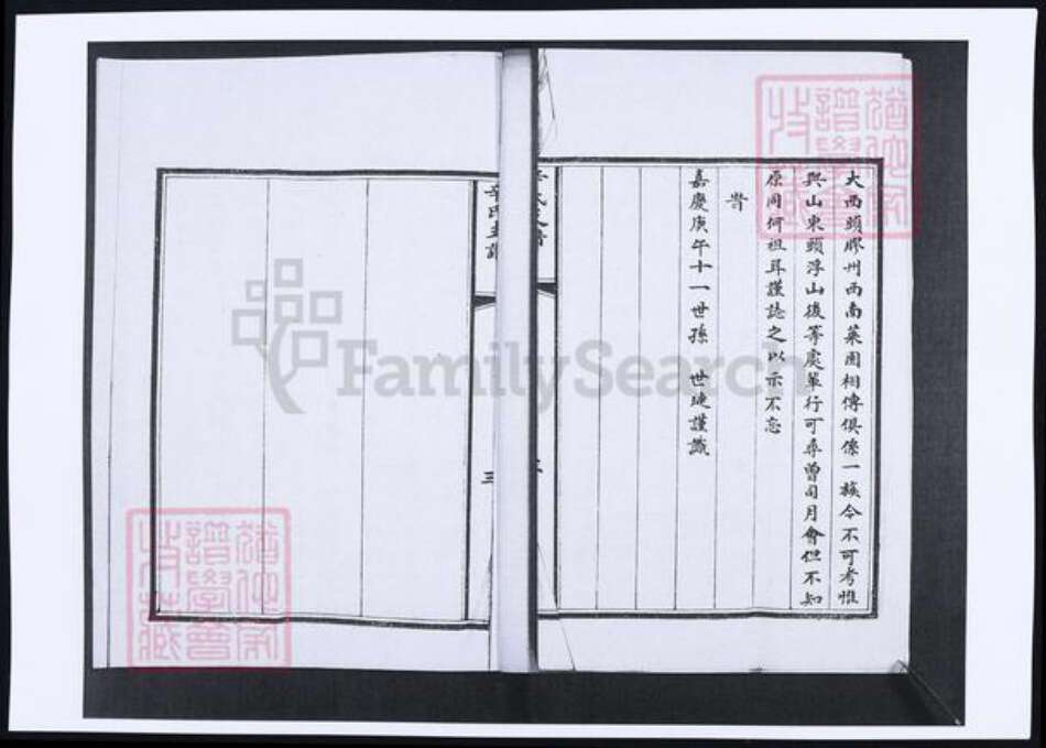 山东省青岛市即墨区辛氏族谱-辛氏支谱.pdf电子版预览图4