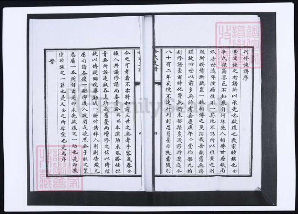 山东省青岛市即墨区辛氏族谱-辛氏支谱.pdf电子版预览图5