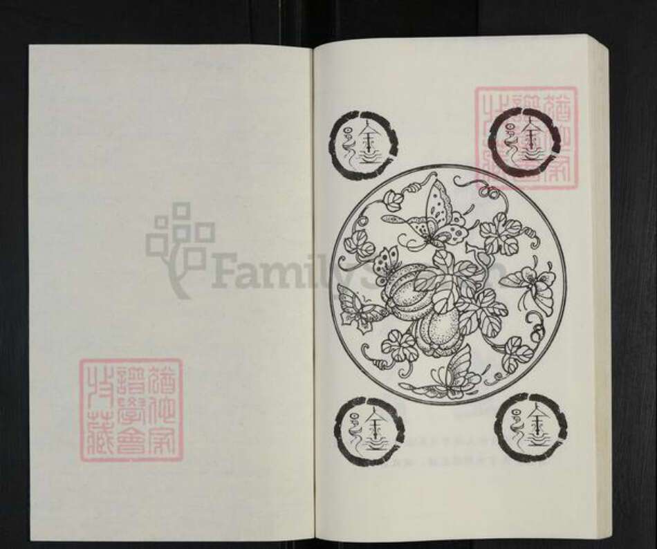 山东省临沂市沂水县徐氏永思堂族谱-徐氏族谱.pdf电子版预览图1