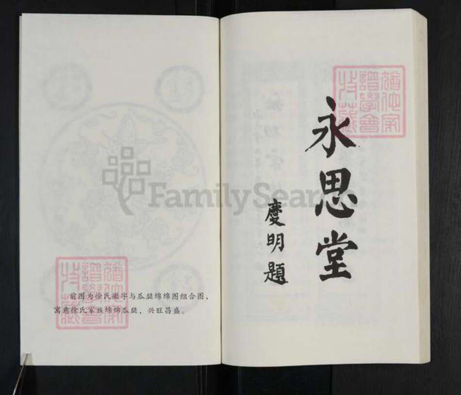 山东省临沂市沂水县徐氏永思堂族谱-徐氏族谱.pdf电子版预览图2