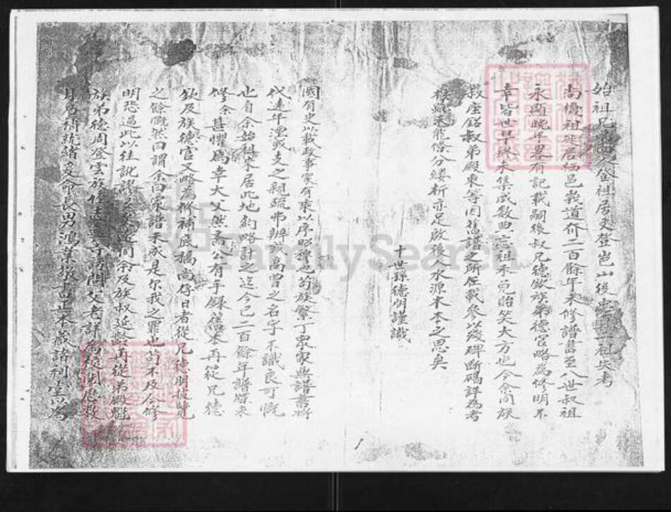 山东省烟台市栖霞市桃村镇徐氏族谱-栖霞峨山庄徐氏西分家谱.pdf电子版预览图5