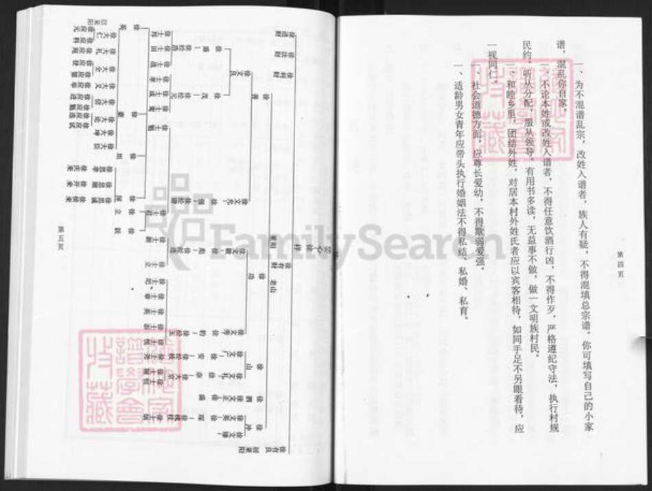 山东省烟台市栖霞市庄园街道徐氏族谱-草庵徐氏家谱.pdf电子版预览图4