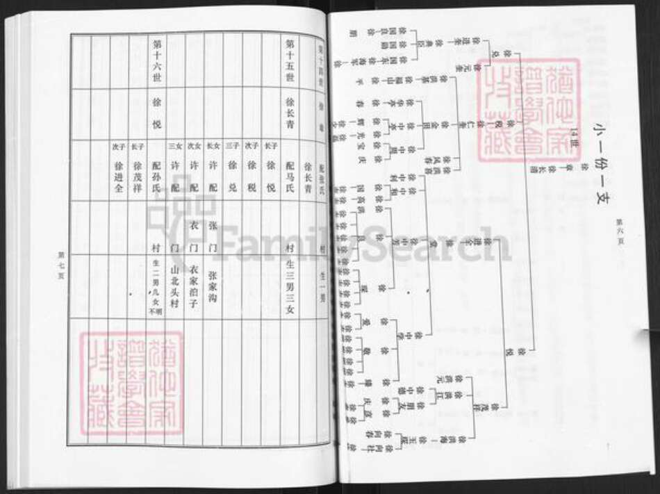 山东省烟台市栖霞市庄园街道徐氏族谱-草庵徐氏家谱.pdf电子版预览图5