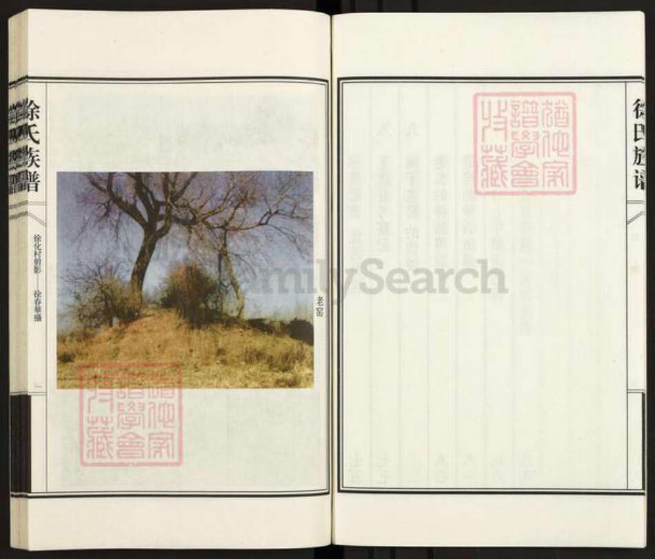 河北省衡水市阜城县大白乡徐氏族谱-徐氏族谱.pdf电子版预览图4