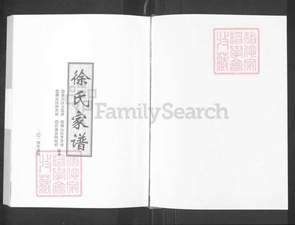 山东省淄博市淄川区徐氏族谱-徐氏家谱.pdf电子版预览图1