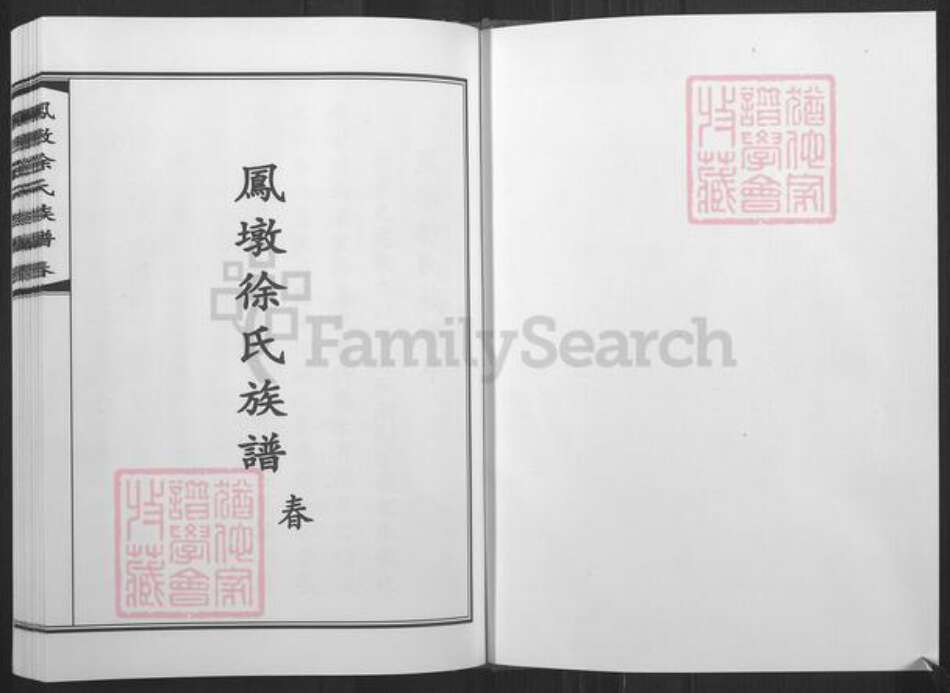 山东省青岛市胶南市黄岛徐氏族谱-凤墩徐氏族谱.pdf电子版预览图1