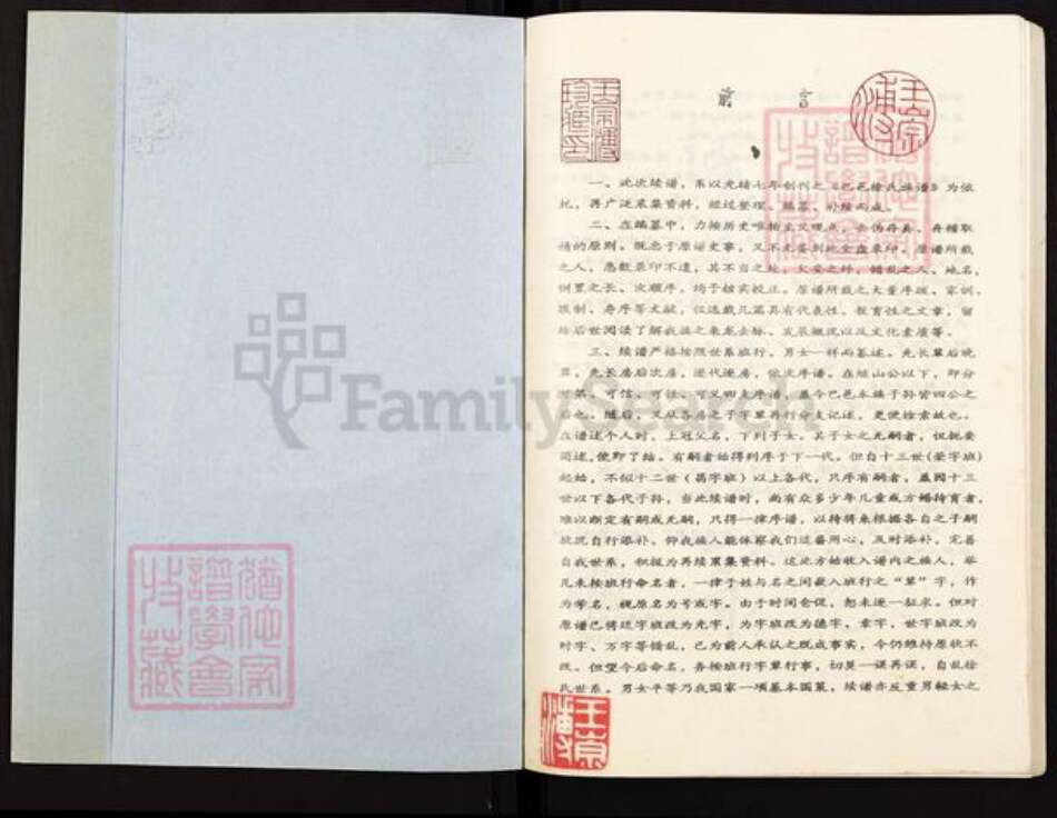 重庆市巴南区徐氏族谱-徐氏族谱.pdf电子版预览图1