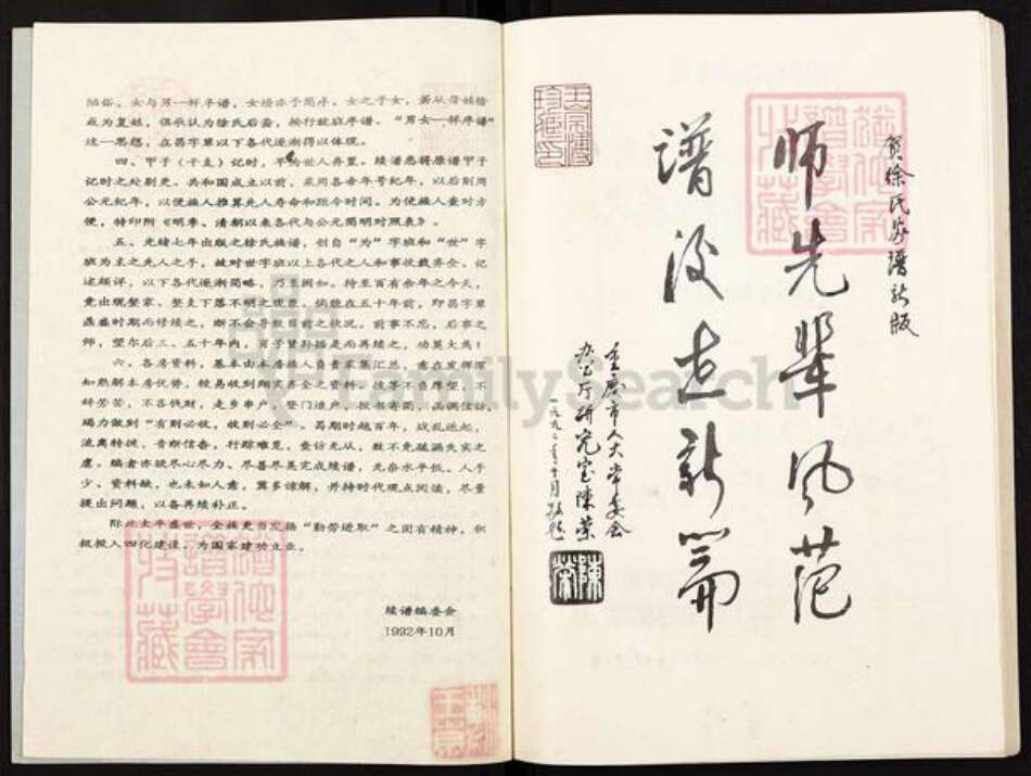 重庆市巴南区徐氏族谱-徐氏族谱.pdf电子版预览图2